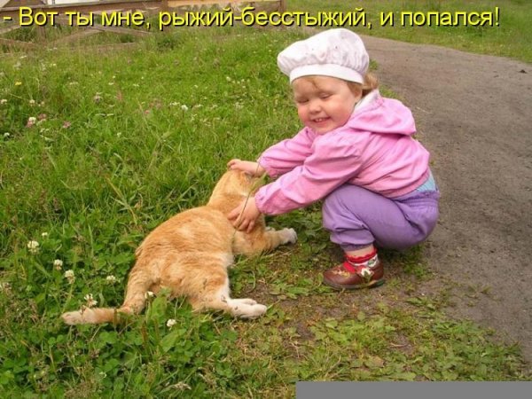 Приколы с подписями картинки