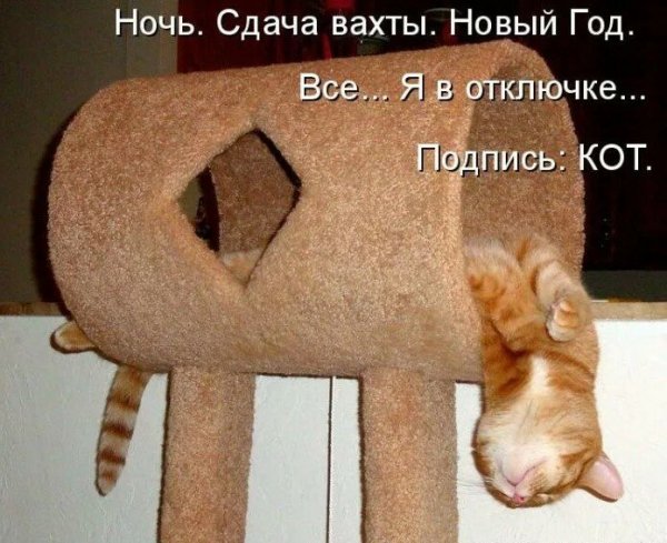 Приколы рисунки с надписями смешные