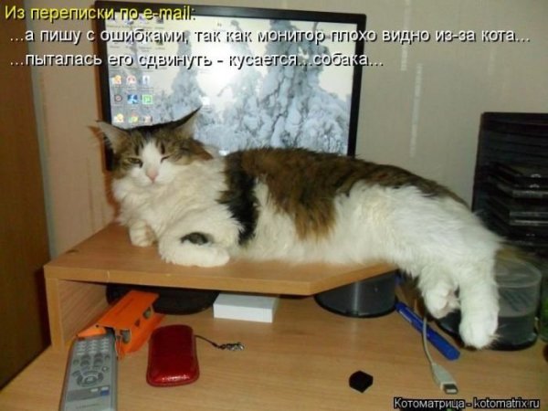 Футбол юмор