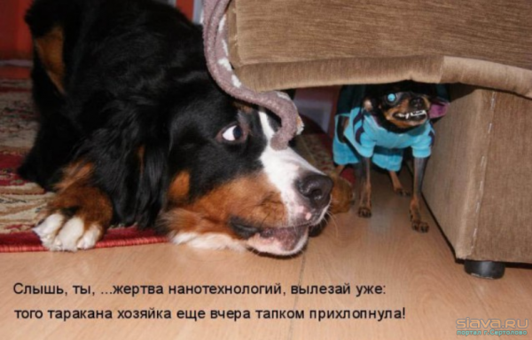 Прикольные надписи
