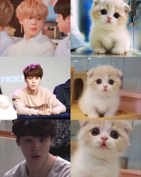 BTS мемы