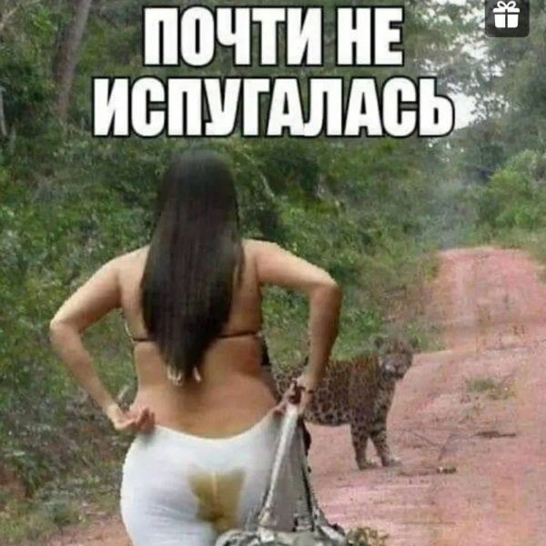 Юмор 18 в картинках с надписями