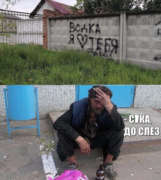 До слез ржачные русские картинки с надписями (48 фото)