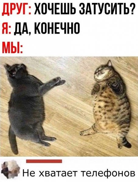 Прикольные картинки ржачные до слез