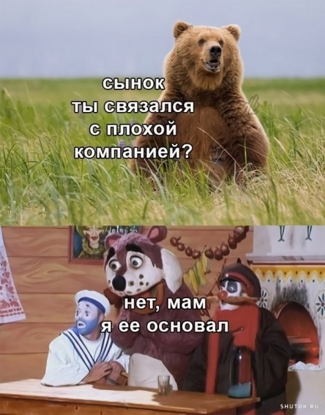 Толстая хозяйка и кот