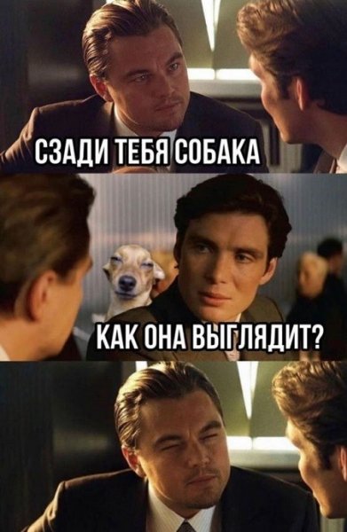Прикольные картинки с надписями ржачные до слез