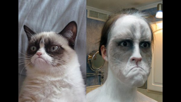 Картинки смешные до слез