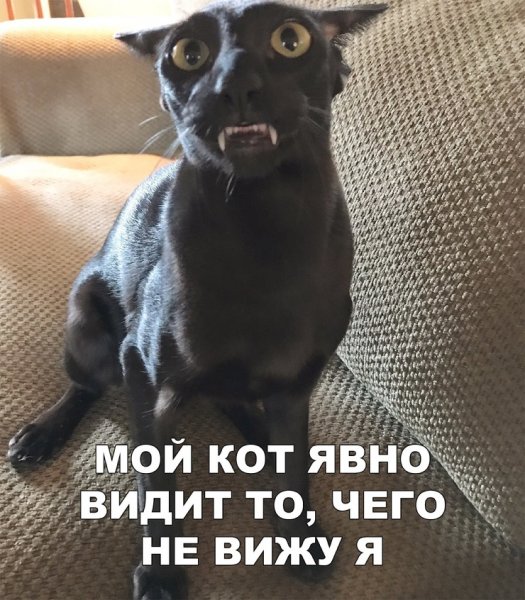 Смешные комментарии к фотографиям