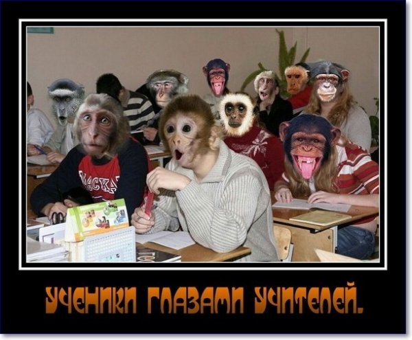 Приколы про школьников