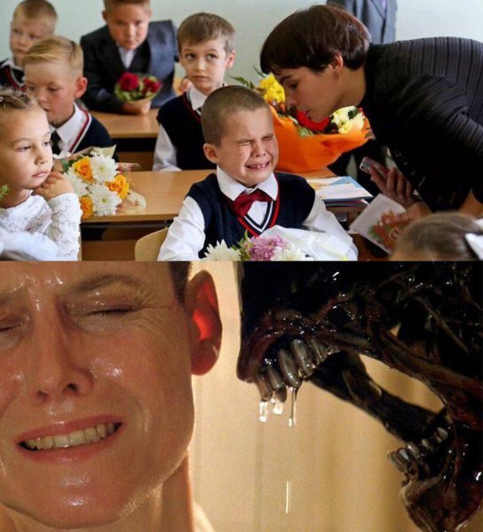 Приколы про школу