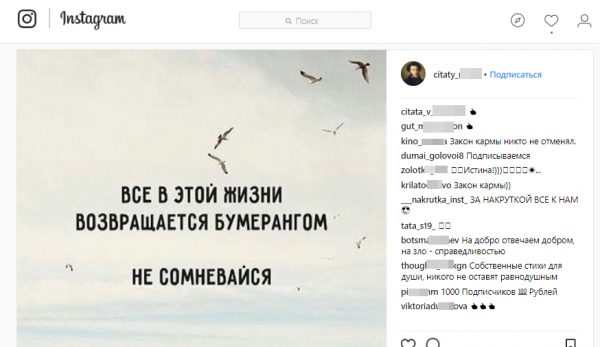 Гречка картинки прикольные