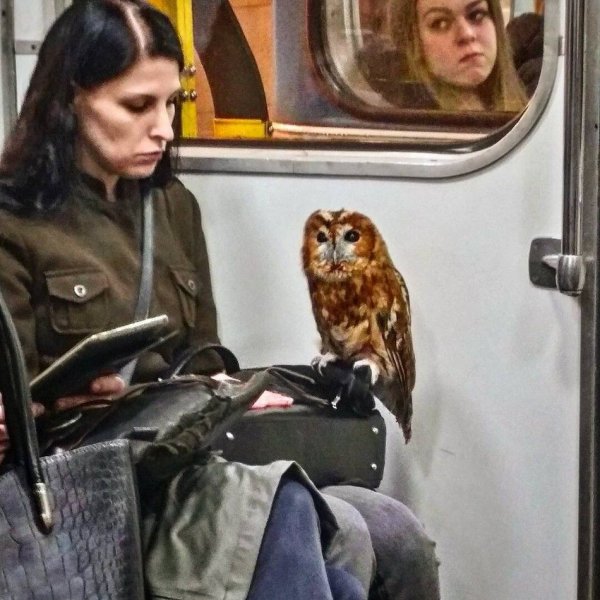 Пассажиры в метро