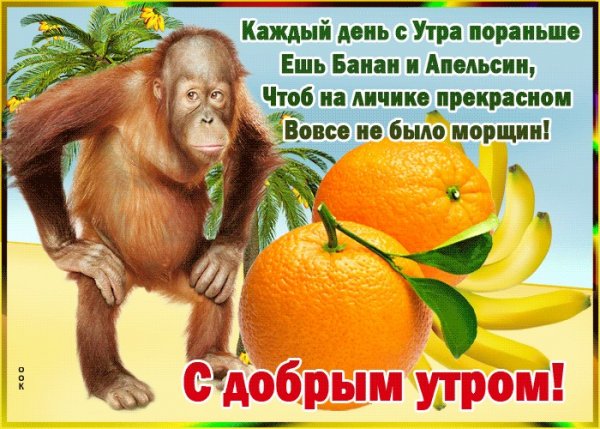 Пожелания доброго утра прикольные с юмором