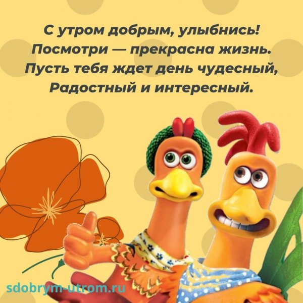 Смешные поздравления с добрым утром