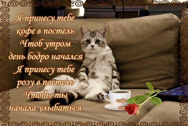 Пожелания с добрым утром с котиками
