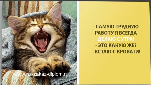 Доброе утро прикол