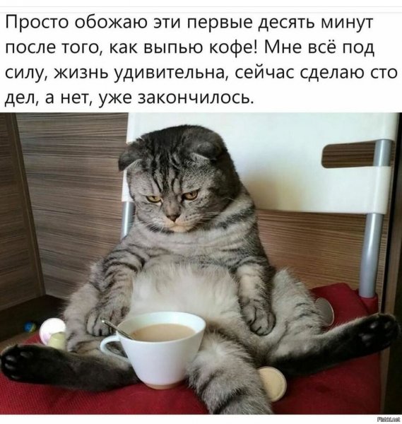 Чтобы утро было добрым
