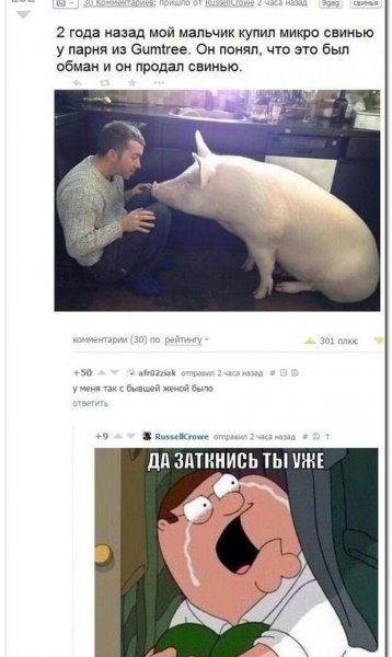 Приколы про соцсети