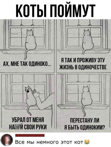 Прикольные картинки с животными