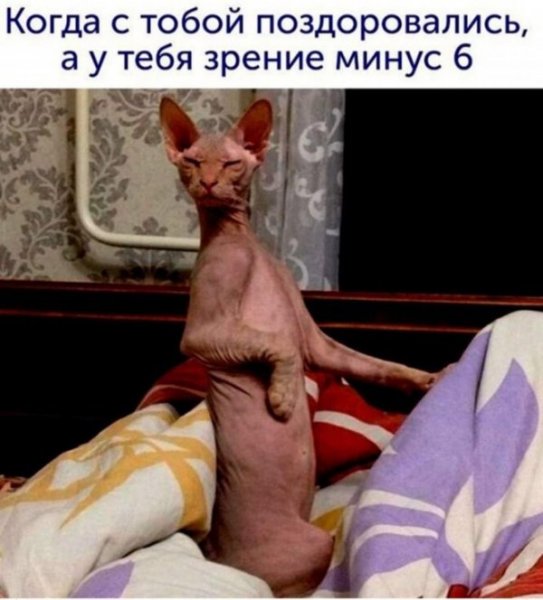 Обезьяна смеется