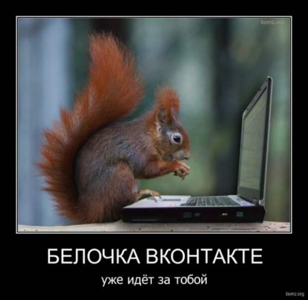 Шутки про белок