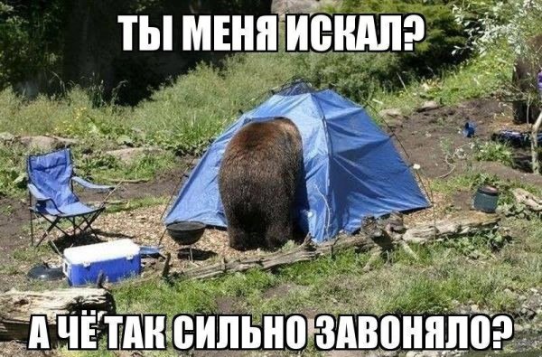 Смешные картинки с надписями для поднятия