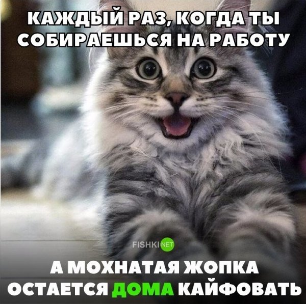 Позитивные надписи для поднятия настроения