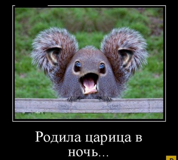 Прикольные для поднятия настроения