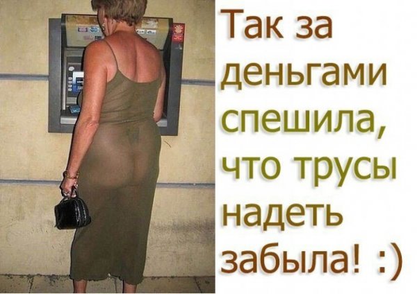 Кошка в платье