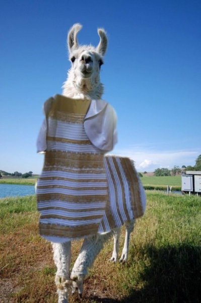 Прикольные костюмы на Хэллоуин