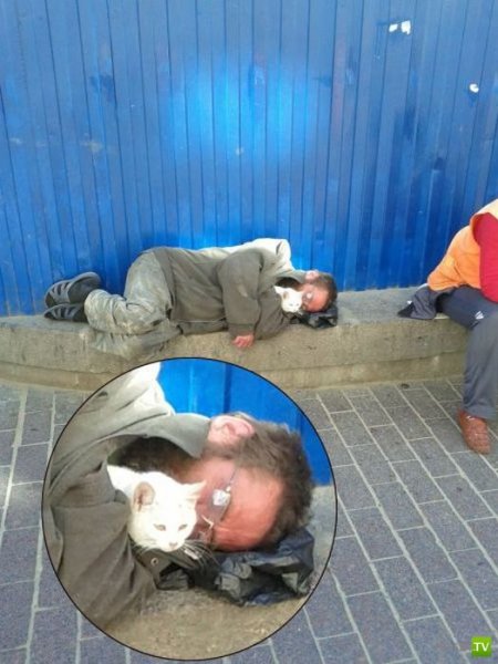 Стив Риммер
