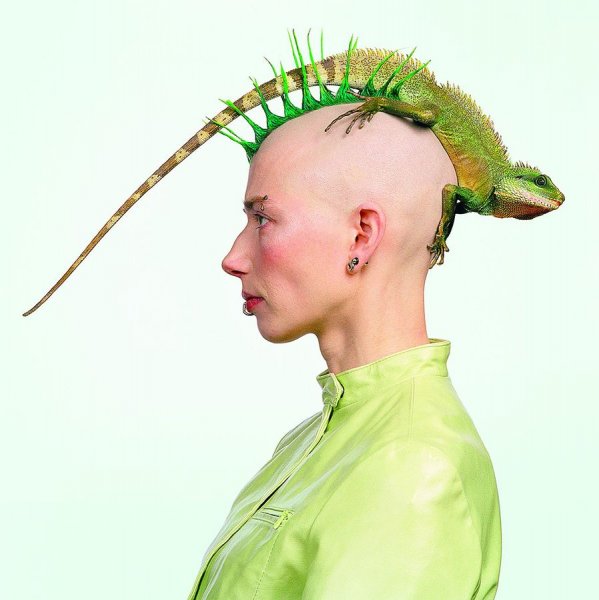 Необычные прически