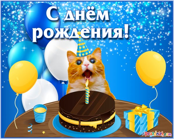 Смешные открытки с днем рождения