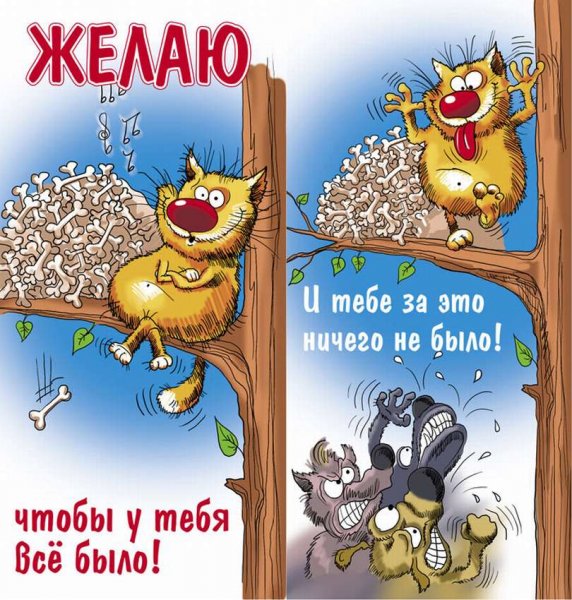 Прикольные открытки