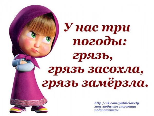 Смешные картинки со словами
