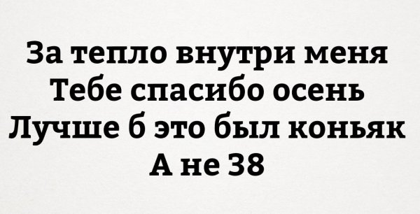 Смысловые картинки с надписями смешные до слез
