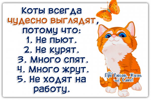 Про любовь жизнь и смех