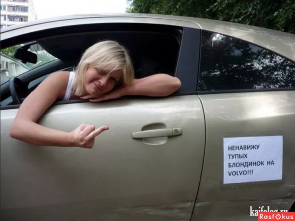 Блондинка за рулем прикольные