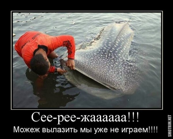 Демотиваторы рыбацкие