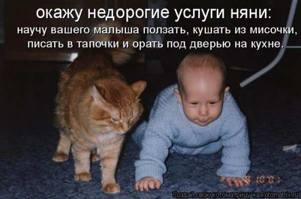 Приколы про детей с надписями