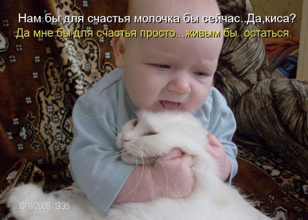 Смешные дети с надписями