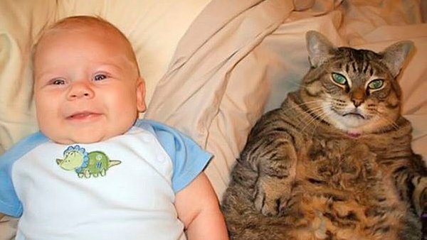 Смешные дети с надписями до слёз