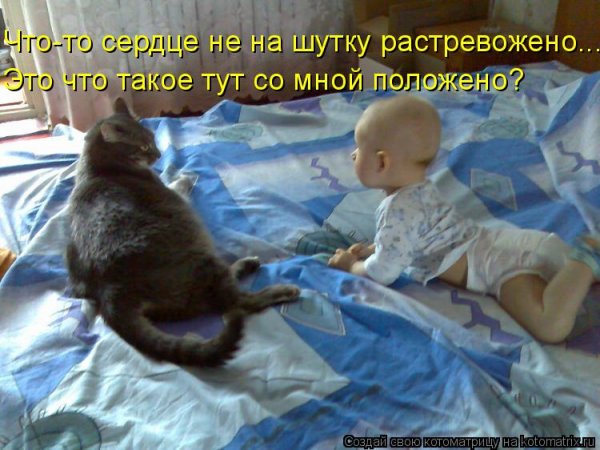 Приколы с котами и детьми с надписями