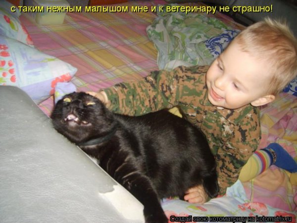 Приколы с детьми и животными с надписями