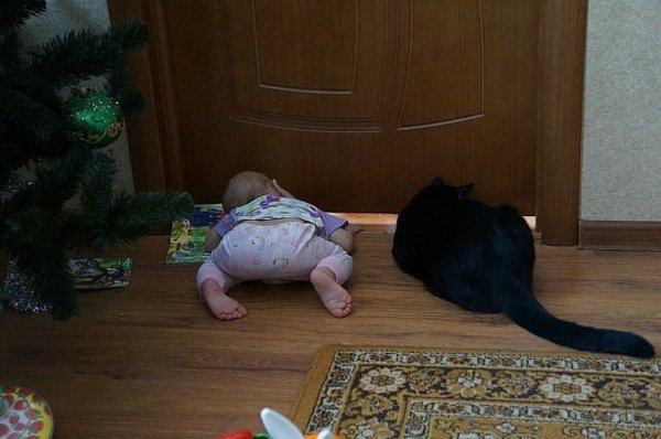 Праздник живота