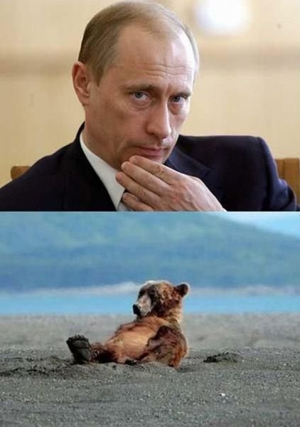 Прикольный Путин
