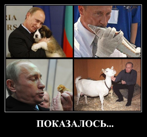 Мемы про Путина