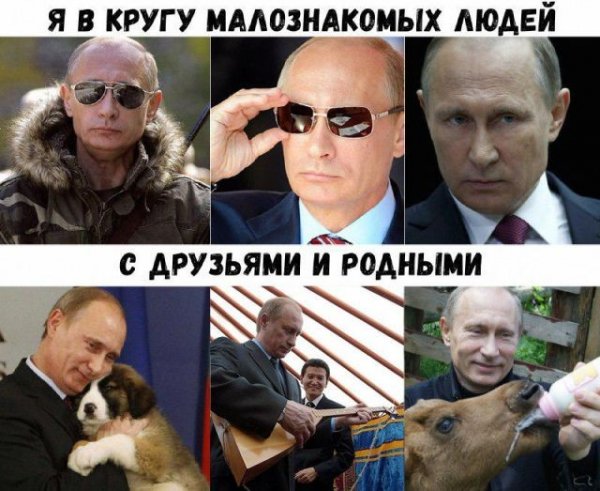 Путин и Медведев мемы