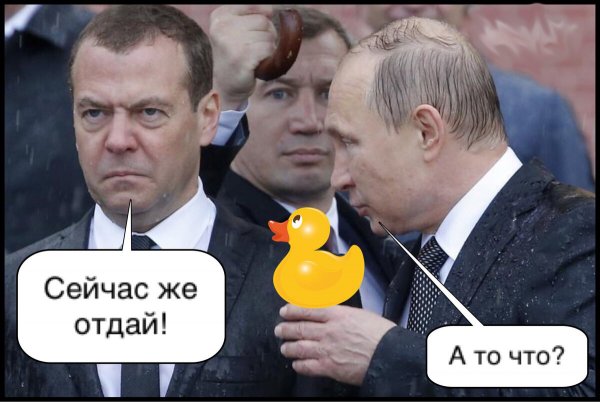Путин приколы