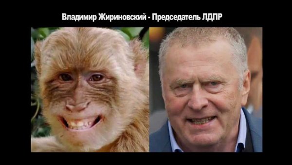Путин развелся с женой прикол
